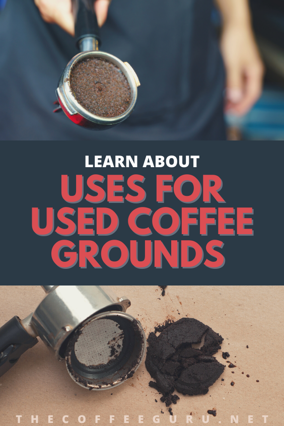 Uses for Used Coffee Grounds Save Them And Reuse Them! The Coffee Guru
