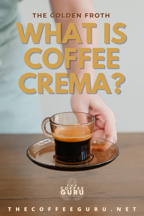 Coffee Crema The Golden Froth The Coffee Guru