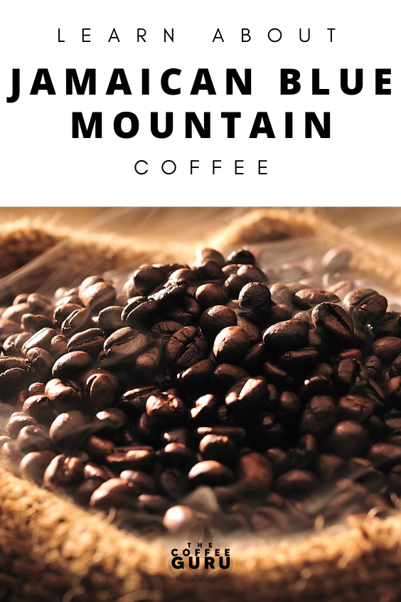 What is Jamaican Blue Mountain Coffee? The Coffee Guru